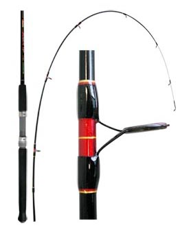 Fishing Tackle Unlimited Surfisher Rod 10ft - Main Forum - SurfTalk