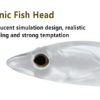 Bionic-Fish-Head.jpg