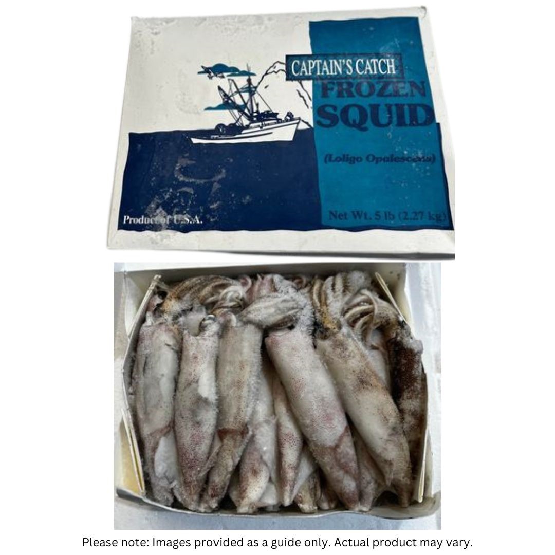 Californian Squid - The Bait Shop Gold Coast