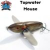 The-Bait-Shop-Top-Water-Mouse.jpeg