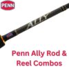Penn-Ally-Rod-plus-Reel-Combo-1.jpeg