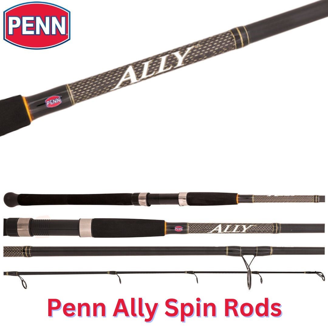 Penn Ally Spin Rods (Available in-store only) - The Bait Shop Gold